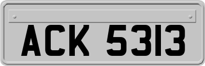 ACK5313