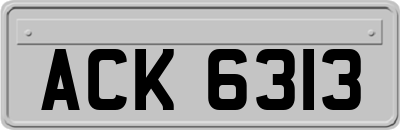 ACK6313