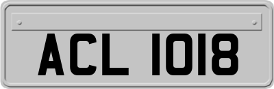 ACL1018