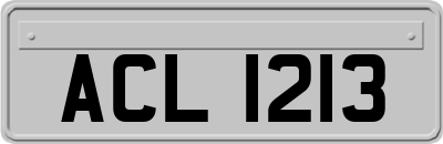 ACL1213