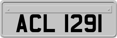 ACL1291