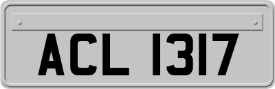 ACL1317