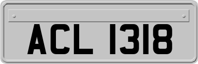 ACL1318