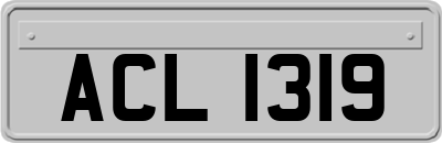 ACL1319