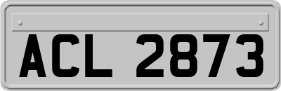 ACL2873
