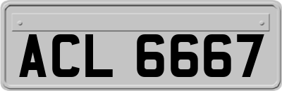 ACL6667