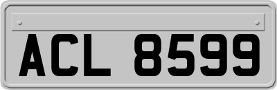 ACL8599