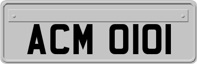 ACM0101