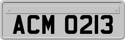 ACM0213