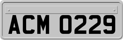 ACM0229
