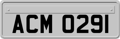 ACM0291
