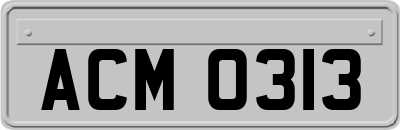 ACM0313