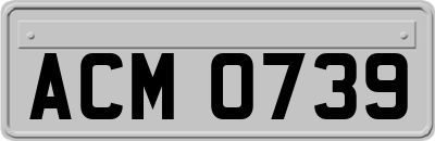 ACM0739
