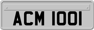 ACM1001