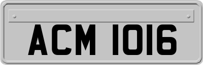 ACM1016