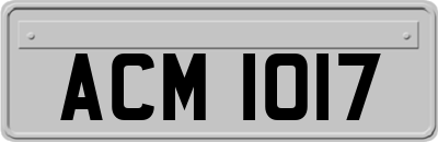 ACM1017