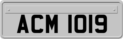 ACM1019