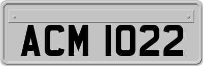 ACM1022