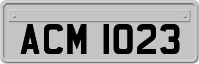ACM1023