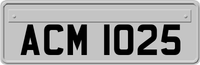 ACM1025