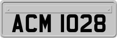 ACM1028