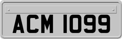 ACM1099