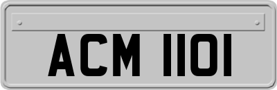 ACM1101