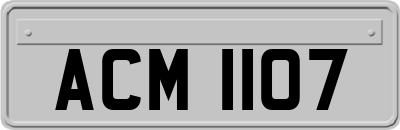 ACM1107