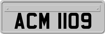 ACM1109