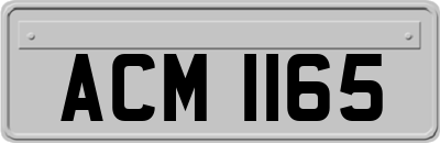 ACM1165