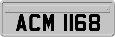 ACM1168