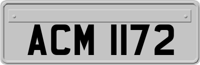 ACM1172