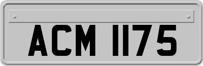 ACM1175