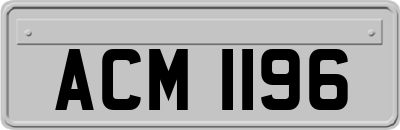 ACM1196
