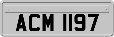 ACM1197