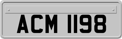 ACM1198