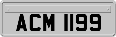 ACM1199