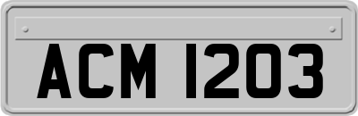 ACM1203