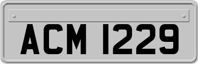 ACM1229