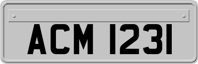 ACM1231