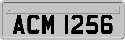 ACM1256