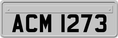 ACM1273