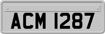 ACM1287