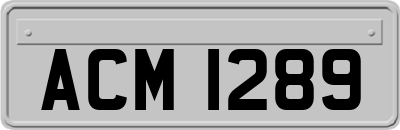 ACM1289