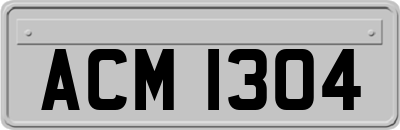 ACM1304