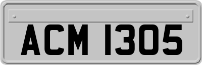 ACM1305