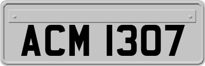 ACM1307