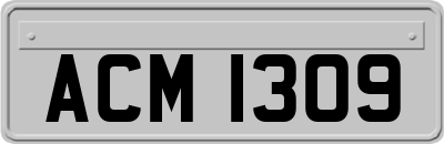 ACM1309