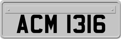 ACM1316