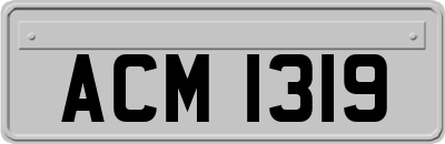 ACM1319